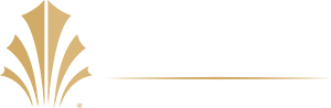 Timak Design - VIP Araç Tasarımı
